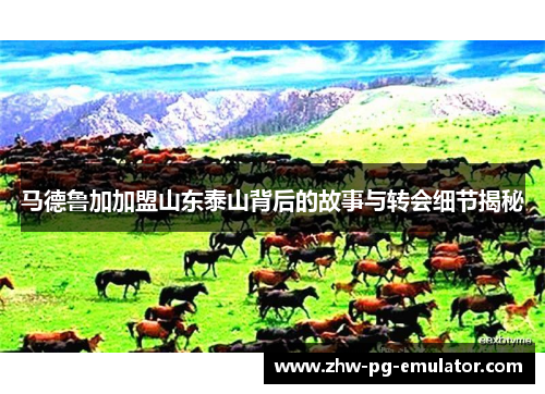 马德鲁加加盟山东泰山背后的故事与转会细节揭秘