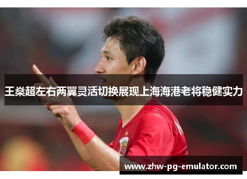 王燊超左右两翼灵活切换展现上海海港老将稳健实力