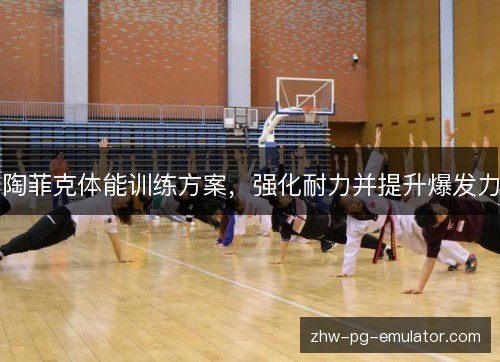 陶菲克体能训练方案，强化耐力并提升爆发力